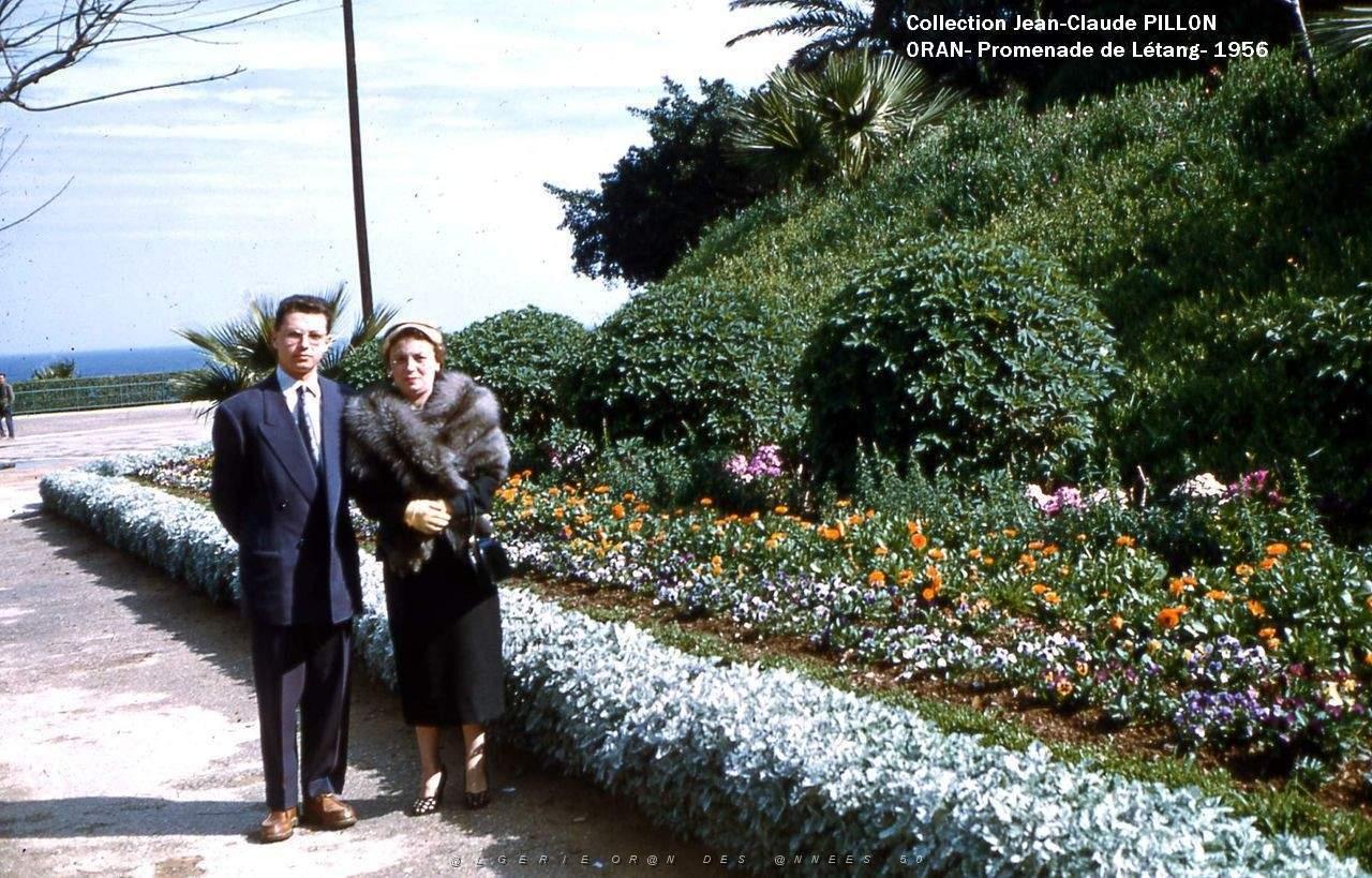 ORAN PROMENADE DE LETANG 1956.jpg